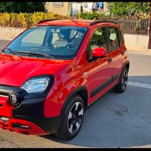 compatta-spaziosa-e-confortevole-la-fiat-panda-cross-e-la-scelta-ideale-per-chi-desidera-muoversi-in-totale-liberta-grazie-alla-posizione-di-guida-rialzata-ai-bassi-consumi-e-agli-interni-moderni